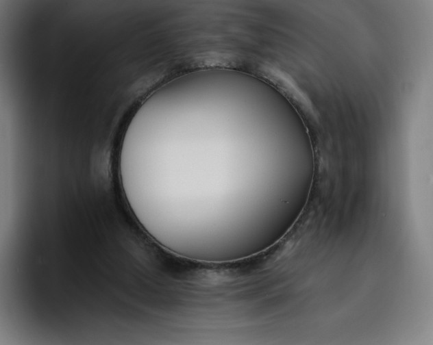 X0000096720250200802191534