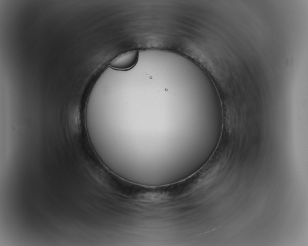 X0000096720251200802191534