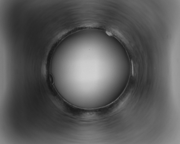 X0000096720252200802191534