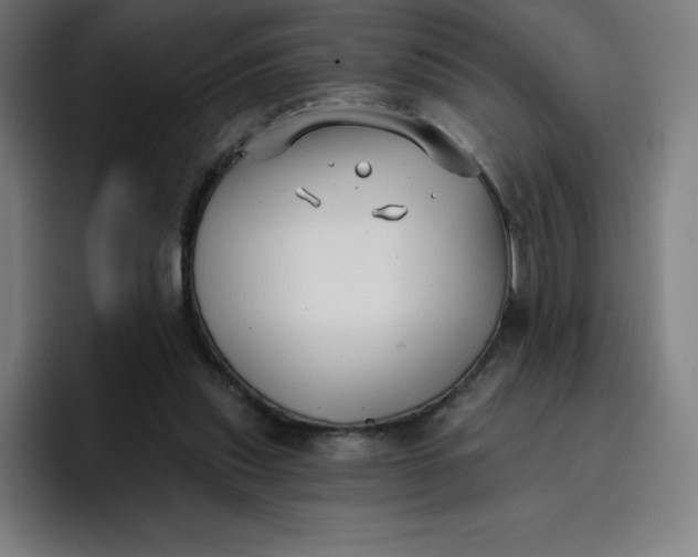 X0000096720253200802191534