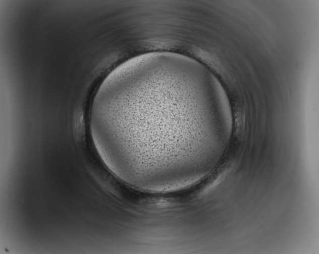 X0000096720254200802191534