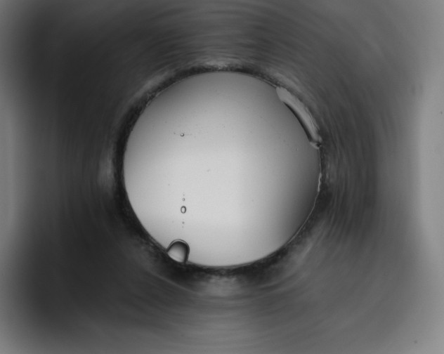 X0000096720256200802191534