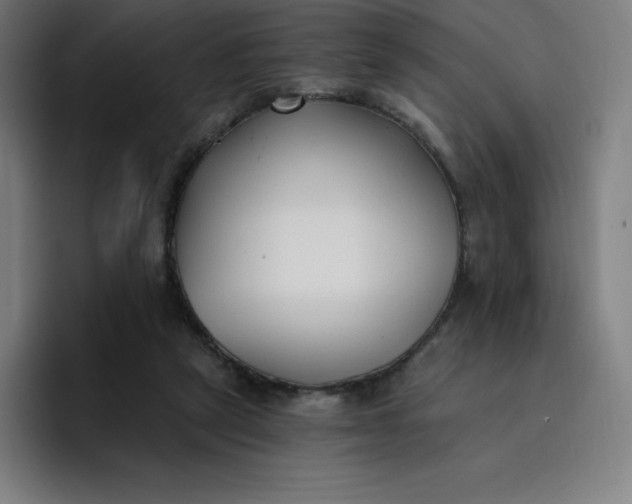 X0000096720257200802191534