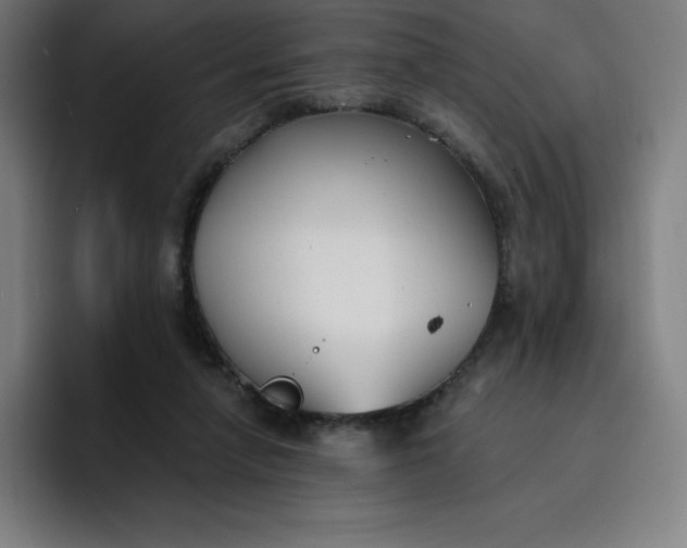 X0000096720258200802191534