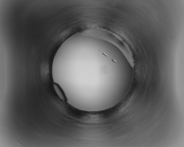 X0000096720260200802191534