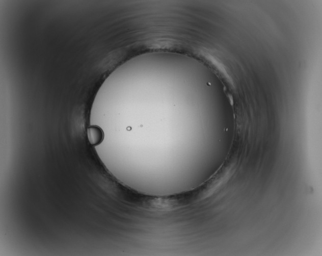 X0000096720261200802191534