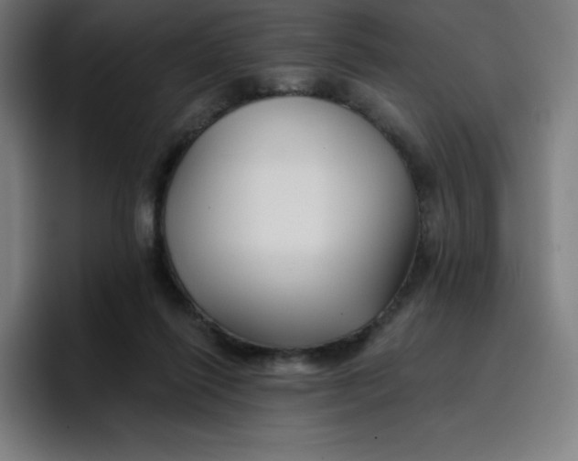 X0000096720262200802191534