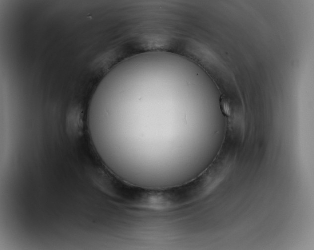 X0000096720264200802191534