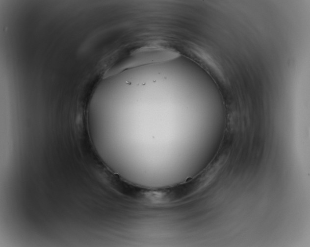 X0000096720265200802191534