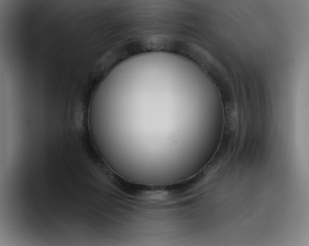 X0000096720266200802191534