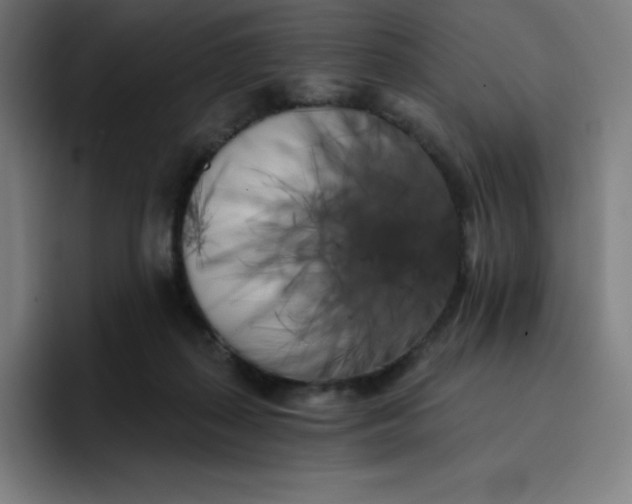 X0000096720267200802191534