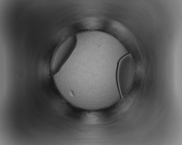 X0000096720268200802191534