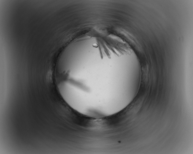 X0000096720269200802191534