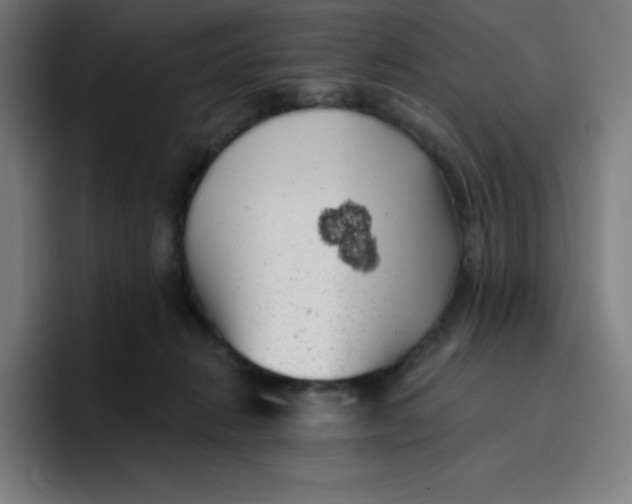 X0000096720270200802191534