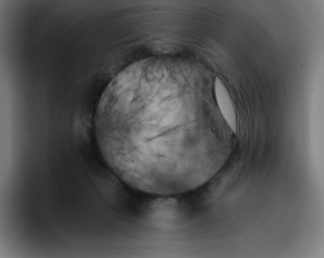 X0000096720271200802191534