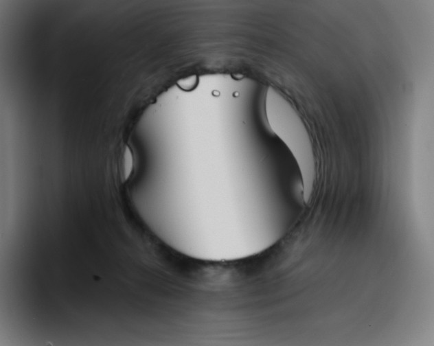 X0000096720272200802191534