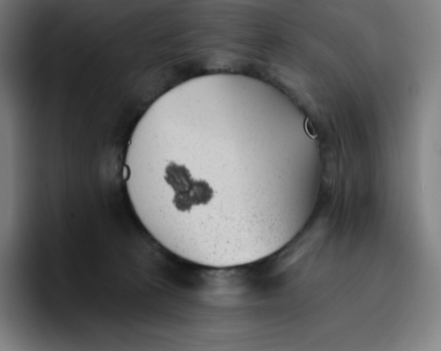 X0000096720273200802191534