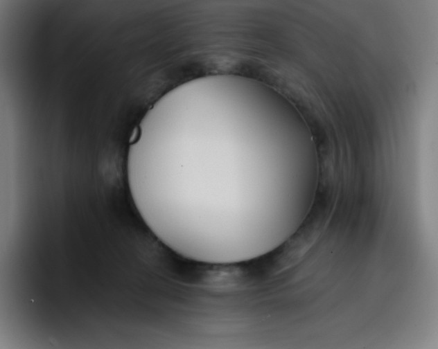 X0000096720274200802191534