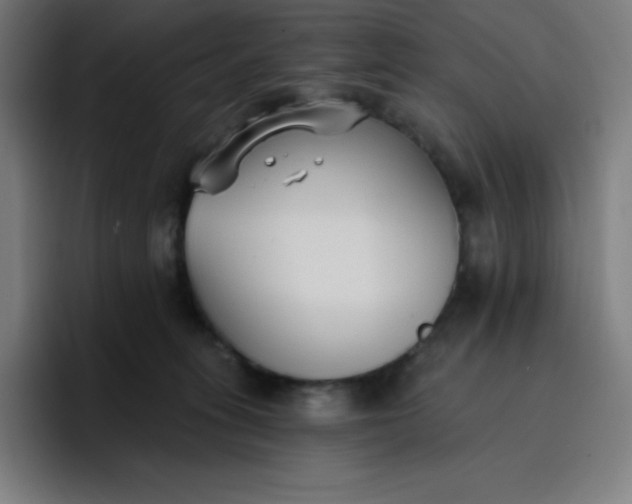 X0000096720275200802191534