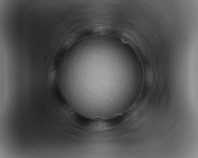 X0000096720276200802191534