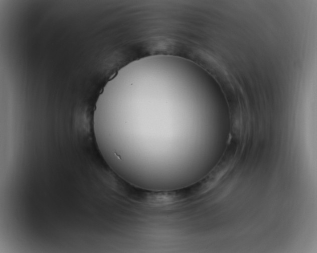 X0000096720282200802191534