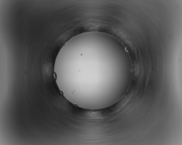 X0000096720283200802191534