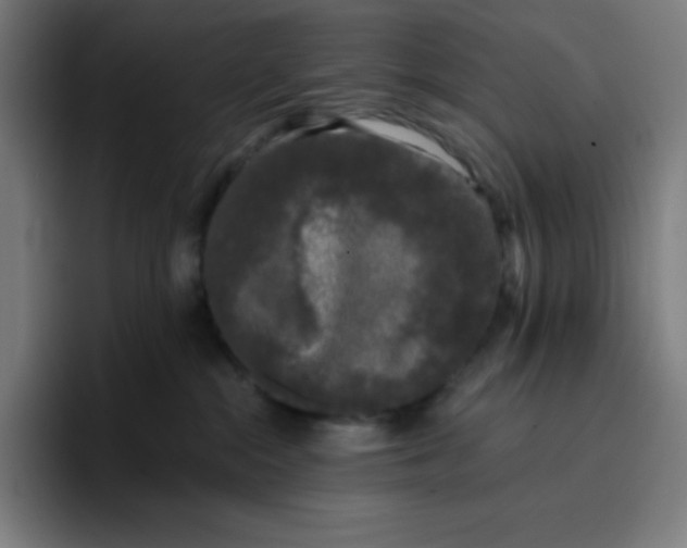 X0000096720284200802191534