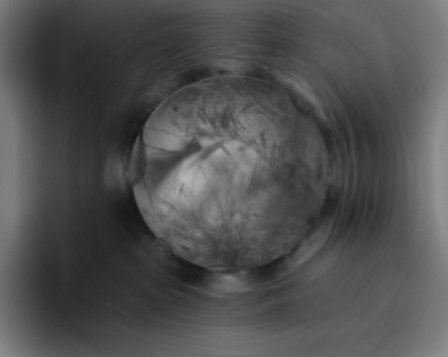 X0000096720285200802191534