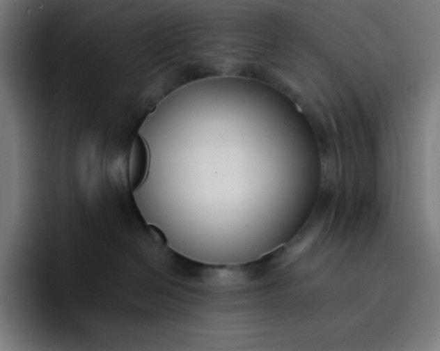 X0000096720286200802191534