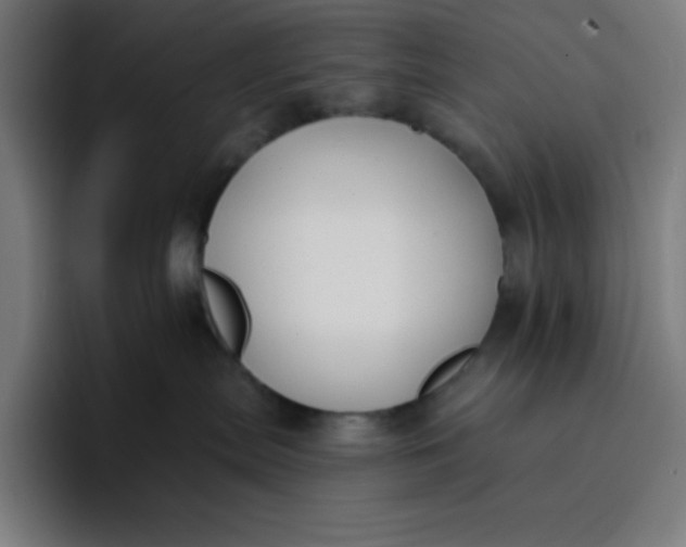 X0000096720287200802191534