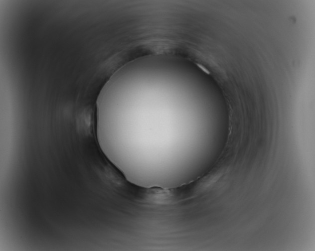 X0000096720288200802191534