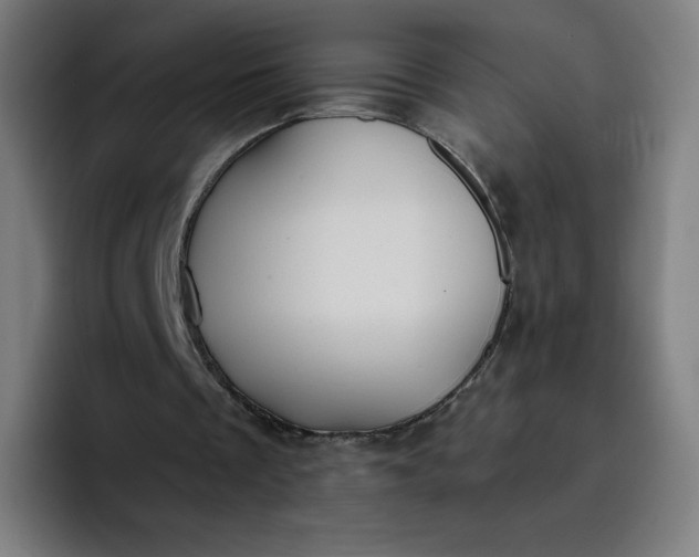 X0000096720289200802191534