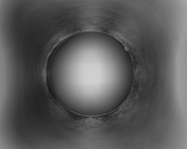 X0000096720290200802191534