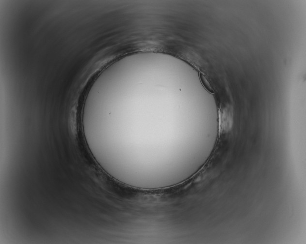 X0000096720291200802191534