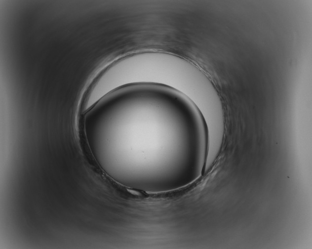 X0000096720292200802191534