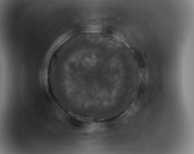 X0000096720293200802191534