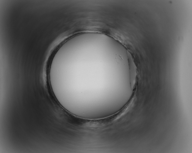 X0000096720294200802191534