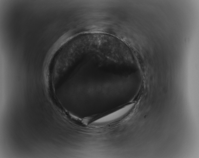 X0000096720295200802191534