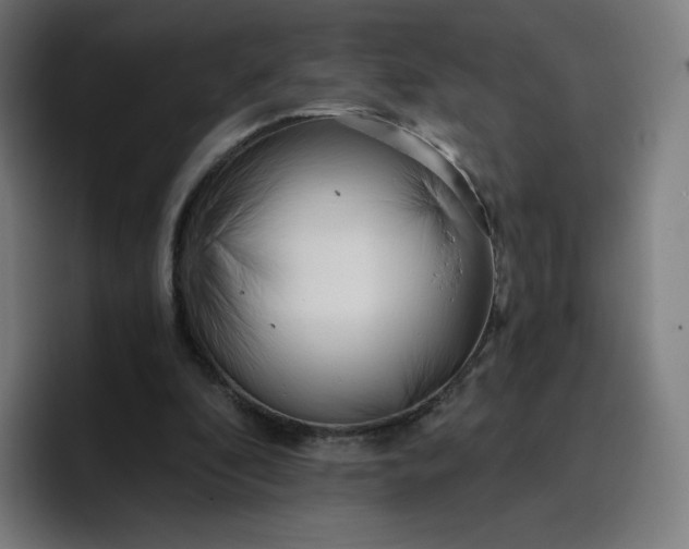 X0000096720296200802191534