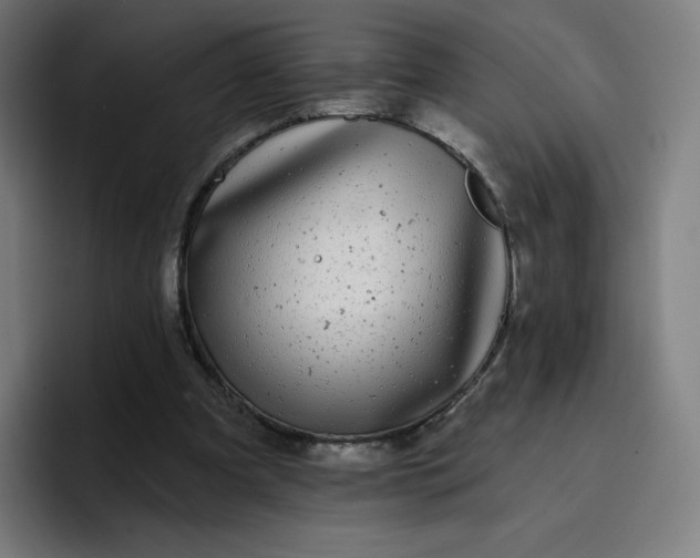 X0000096720297200802191534