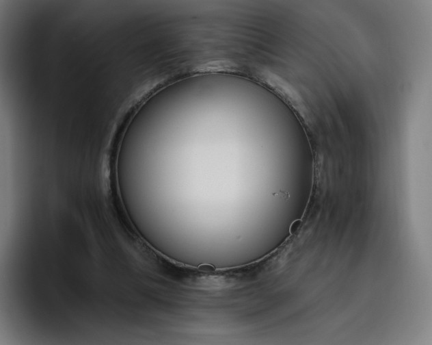 X0000096720298200802191534