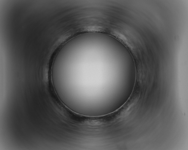 X0000096720299200802191534