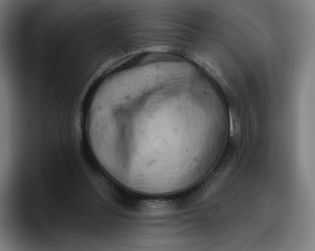 X0000096720300200802191534