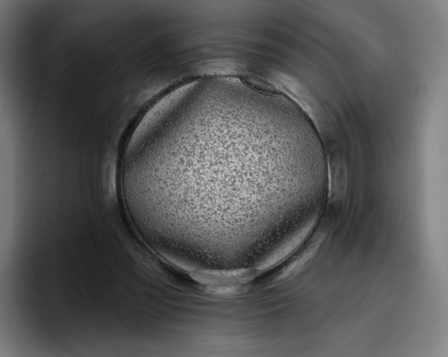 X0000096720301200802191534