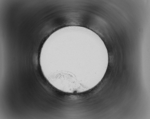 X0000096720302200802191534