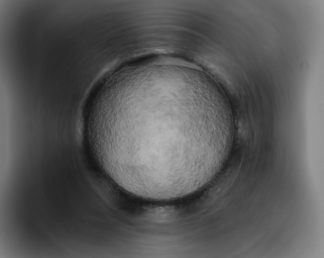 X0000096720304200802191534