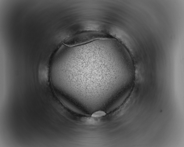 X0000096720305200802191534