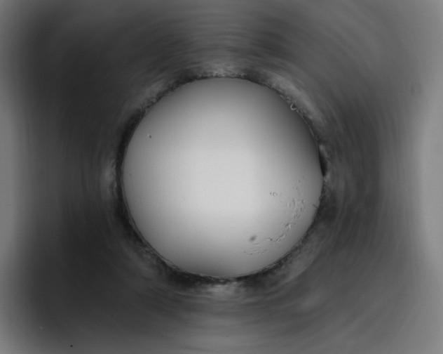 X0000096720306200802191534