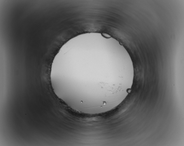 X0000096720307200802191533