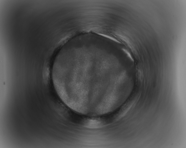 X0000096720308200802191533